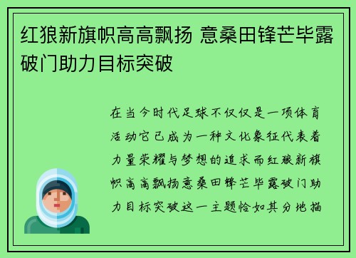 红狼新旗帜高高飘扬 意桑田锋芒毕露破门助力目标突破